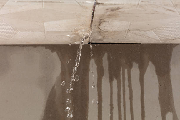 Professional Burst Pipe Cleanup technician working in Porter, TX